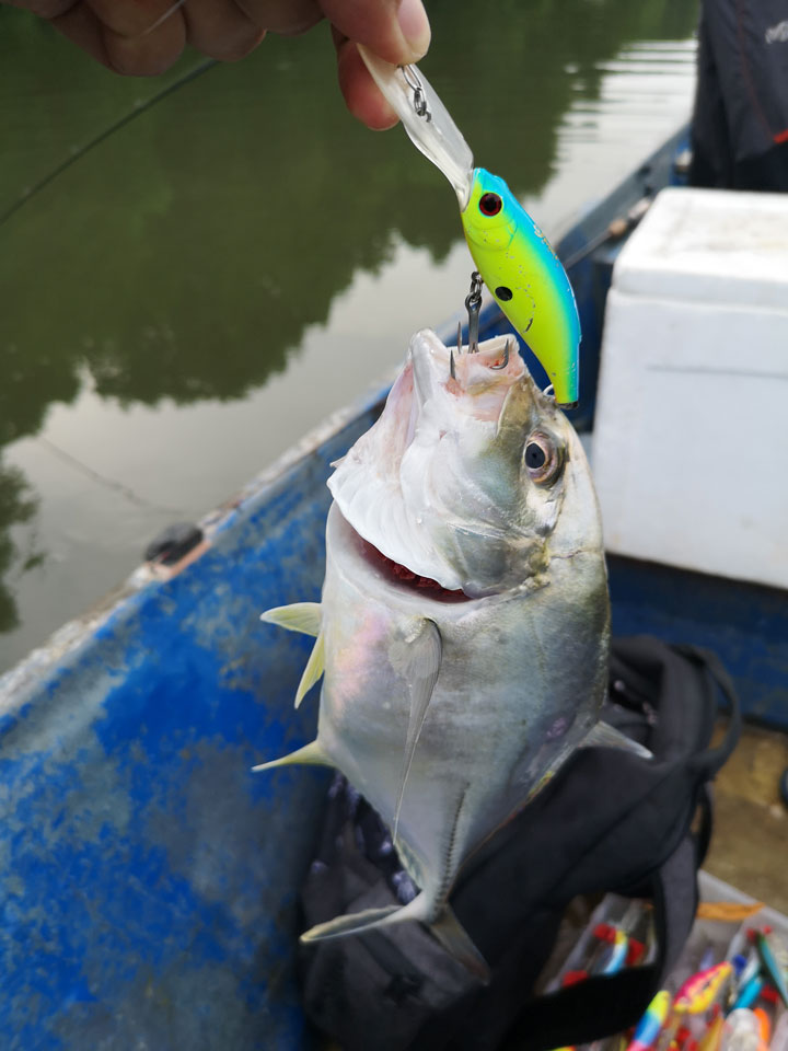 Teori Pasang Surut Memahami Waktu Terbaik Untuk Memancing