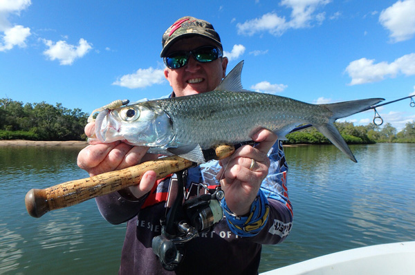 ikan bulan tarpon
