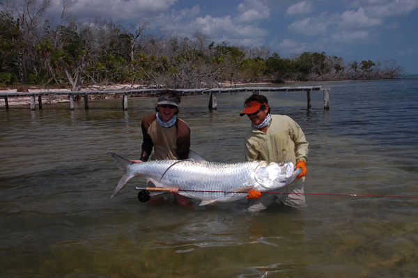 ikan bulan mega